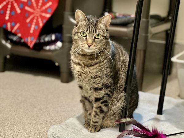 Izzy — thumbnail 5