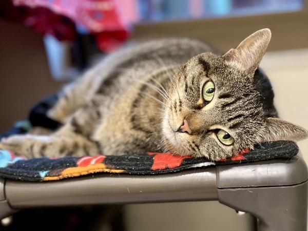 Izzy — thumbnail 6