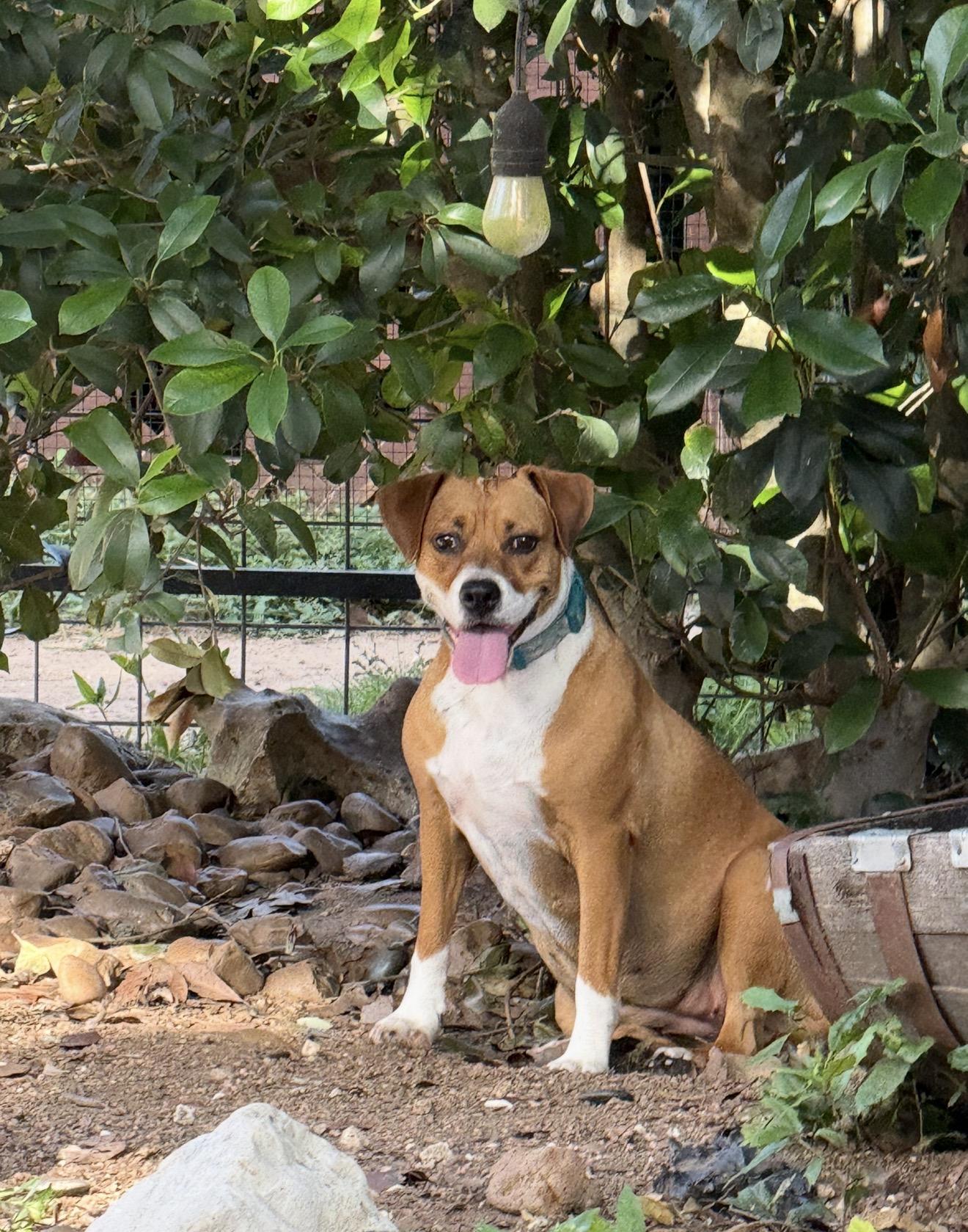 Kanga photo