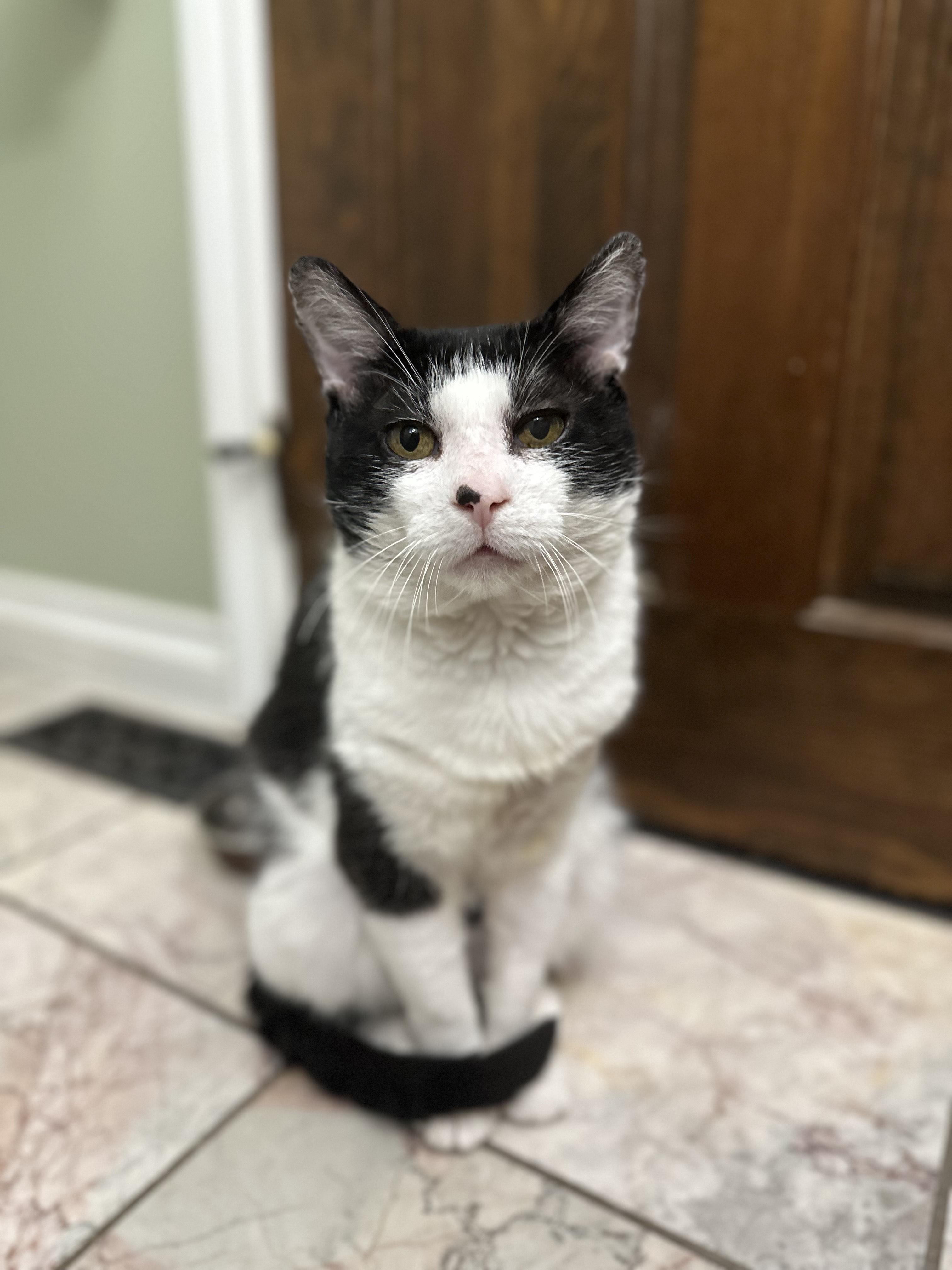 Chester