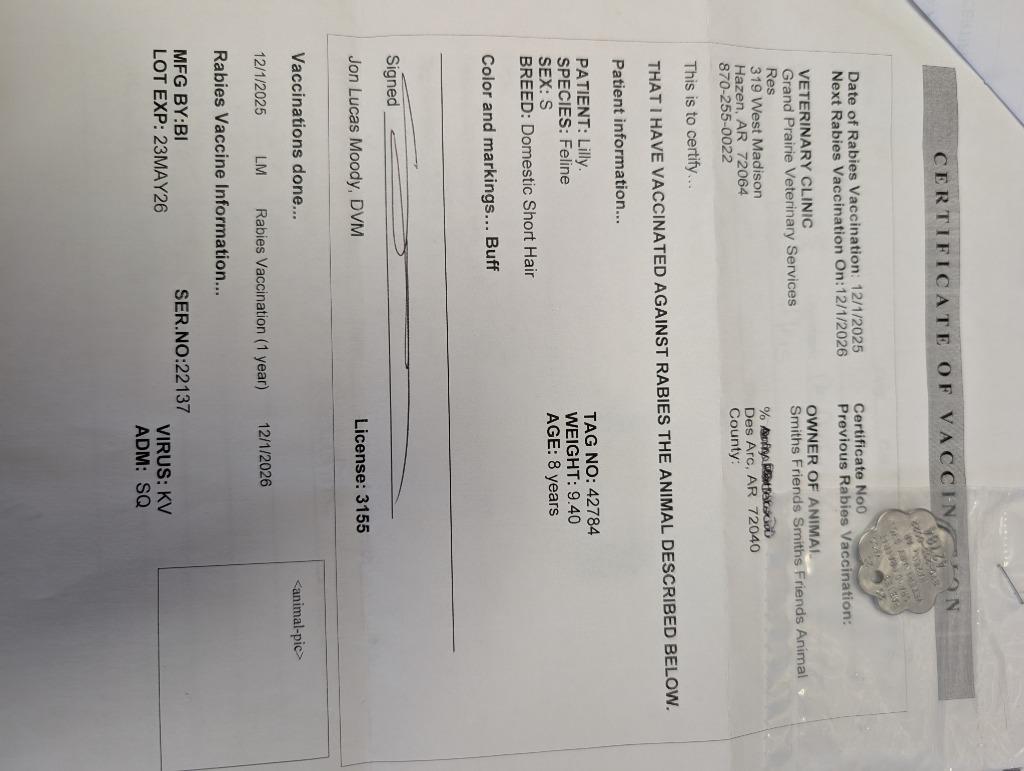 Enlarge Lilly, a Adopted mixed breed in Rockford, IL image 2/5