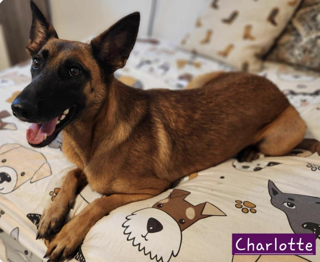 Charlotte