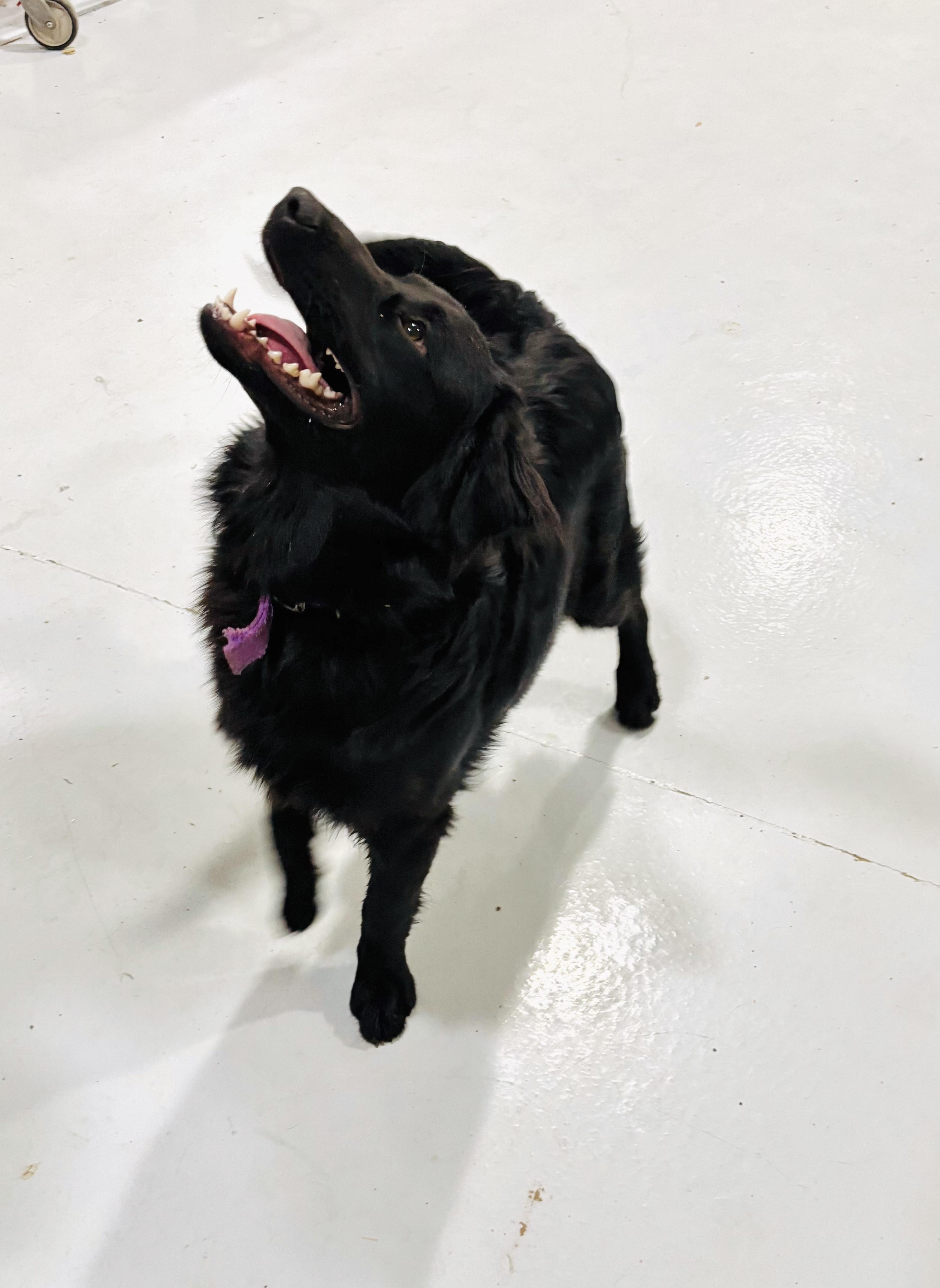 BOULDER! — thumbnail 2