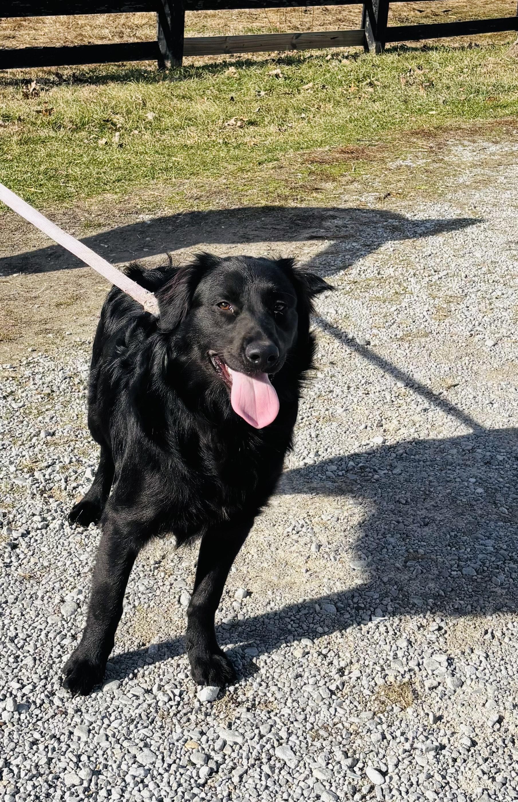 BOULDER! — thumbnail 3