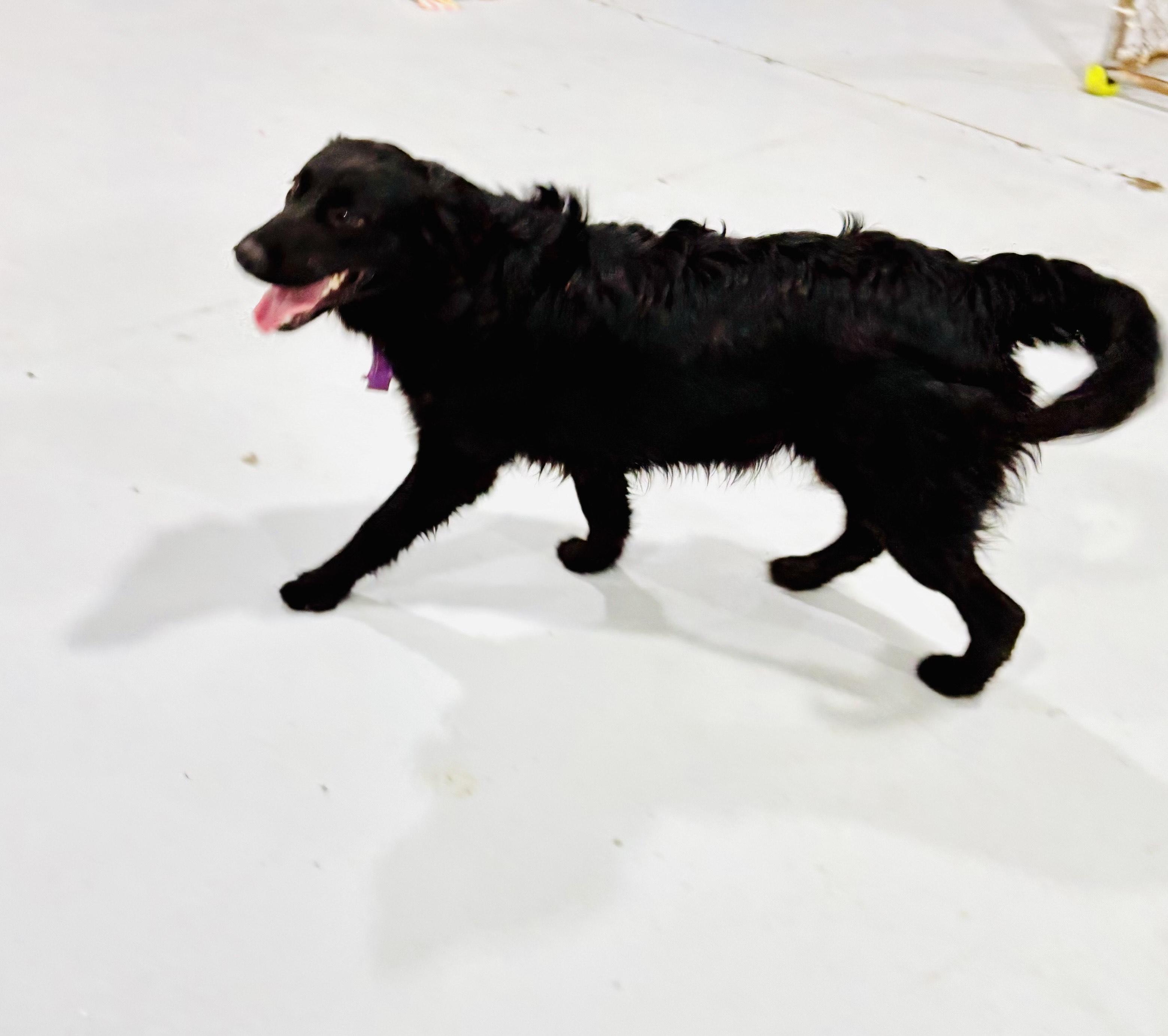 BOULDER! — thumbnail 4