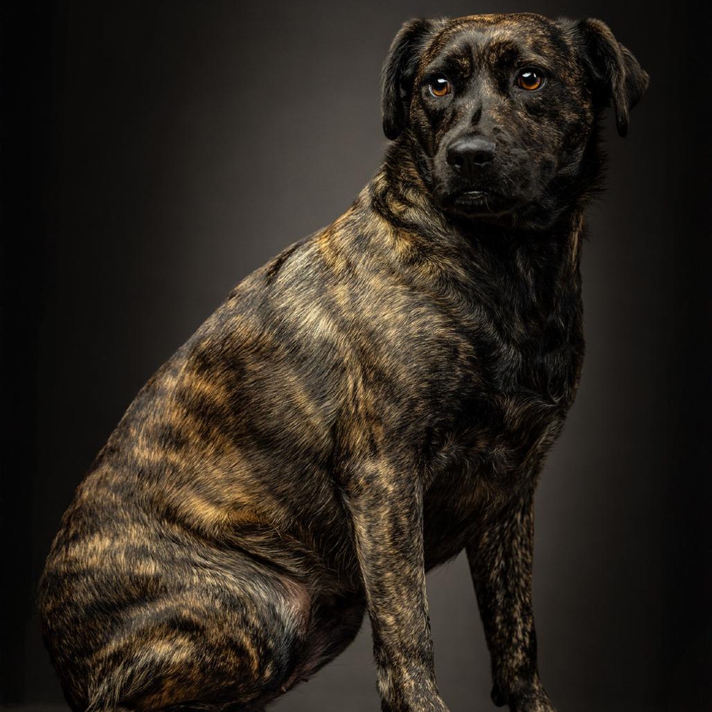 Little Bit — thumbnail 4