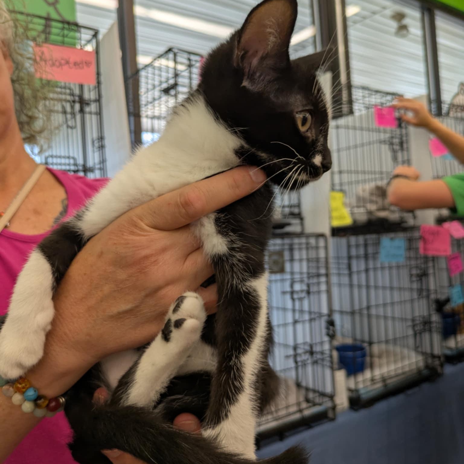 Oreo