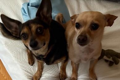 Lukky & Lilly