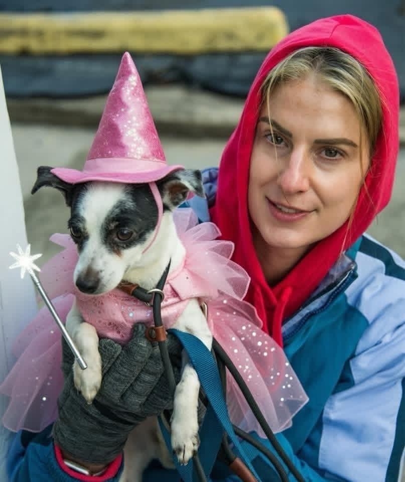 Glinda, Adoptable, Adult Female Terrier.