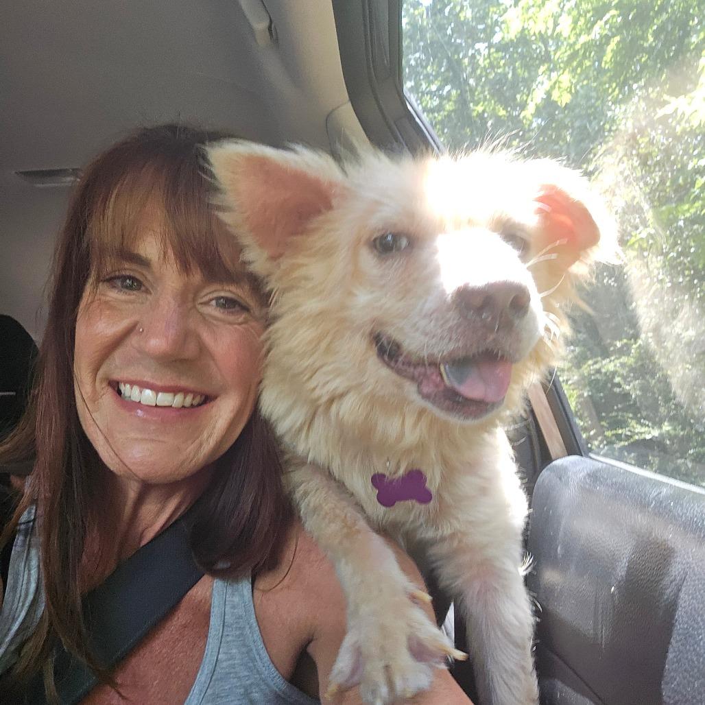 Marge, a Adoptable mixed breed in Bessemer, AL image 6/6