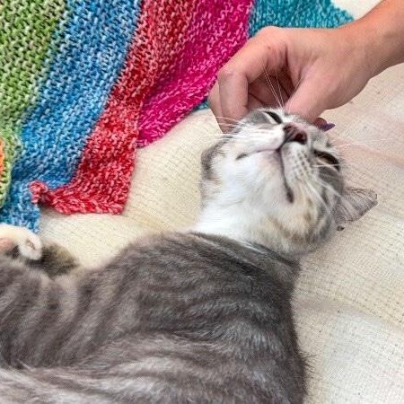 Sunshine Simpson — thumbnail 2