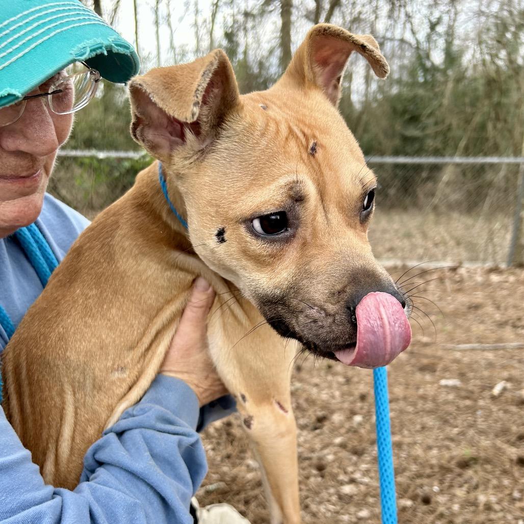 Bratwurst 7993 — thumbnail 2