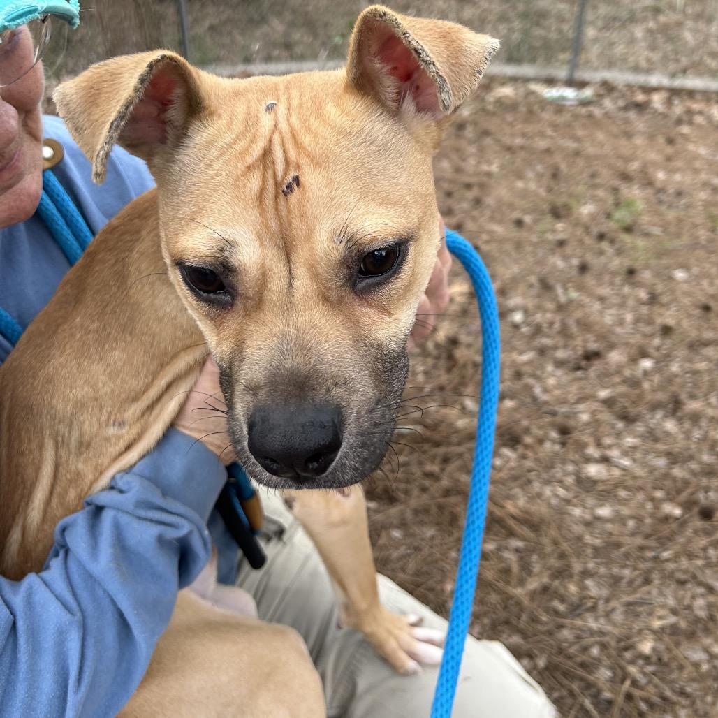 Bratwurst 7993 — thumbnail 5