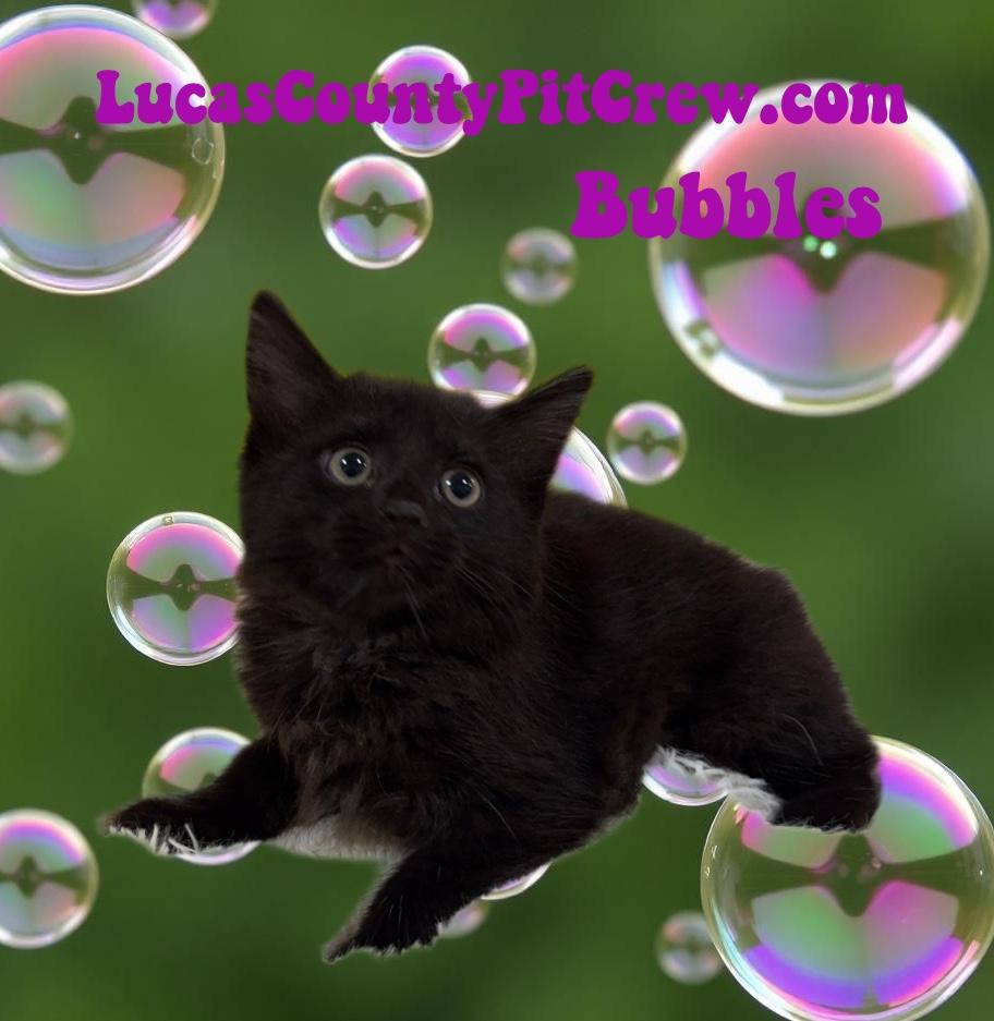Bubbles