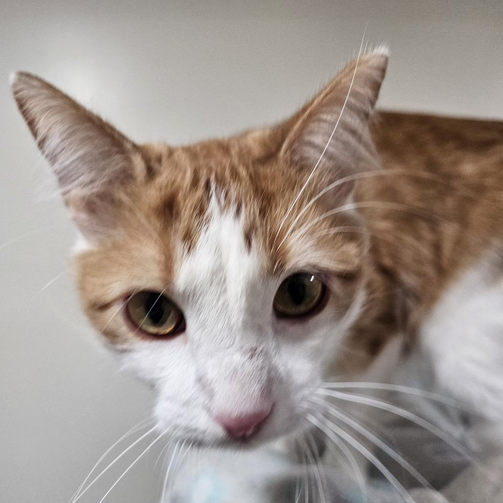 Feeny — thumbnail 6