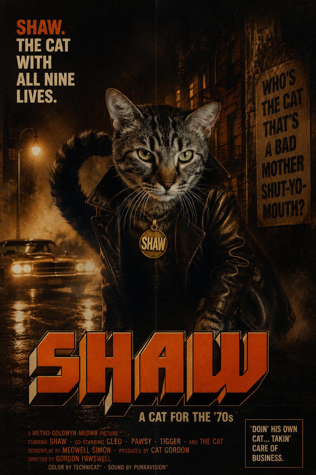 Enlarge Shaw: Foster Requested (FCID# 9/10/25-3 Trainer) C, a Adoptable Tabby in Greenville, DE image 2/3