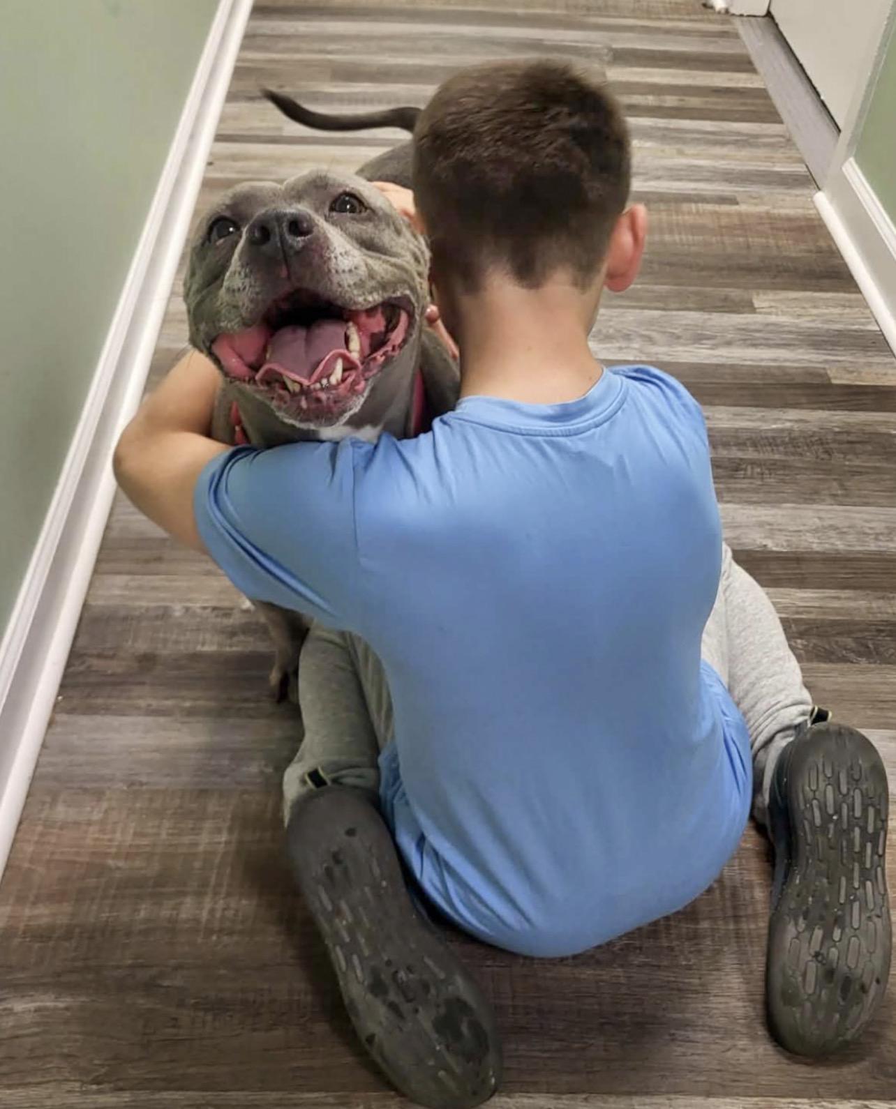 Enlarge Millie, a Adoptable Pit Bull Terrier in St. Ignace, MI image 1/5