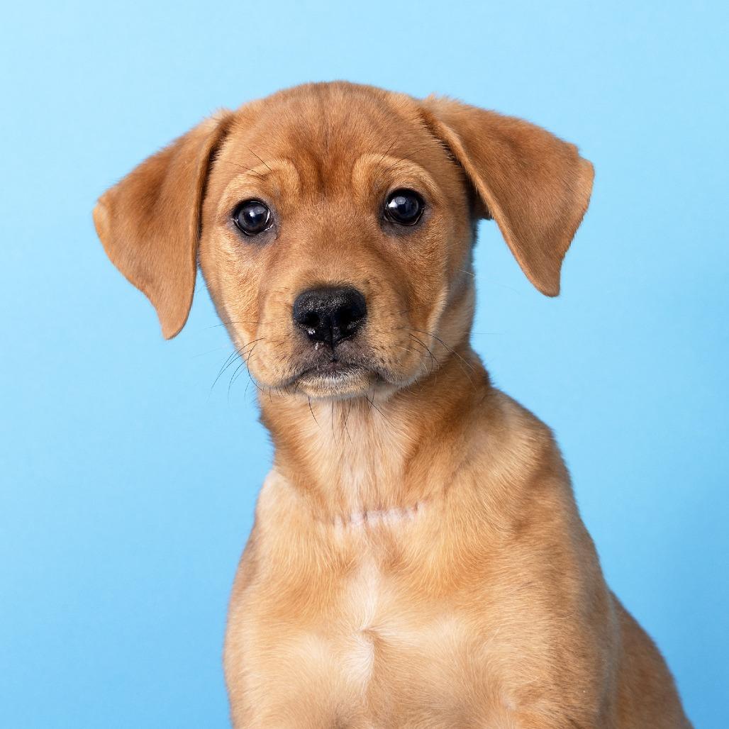 Sunshine — thumbnail 2