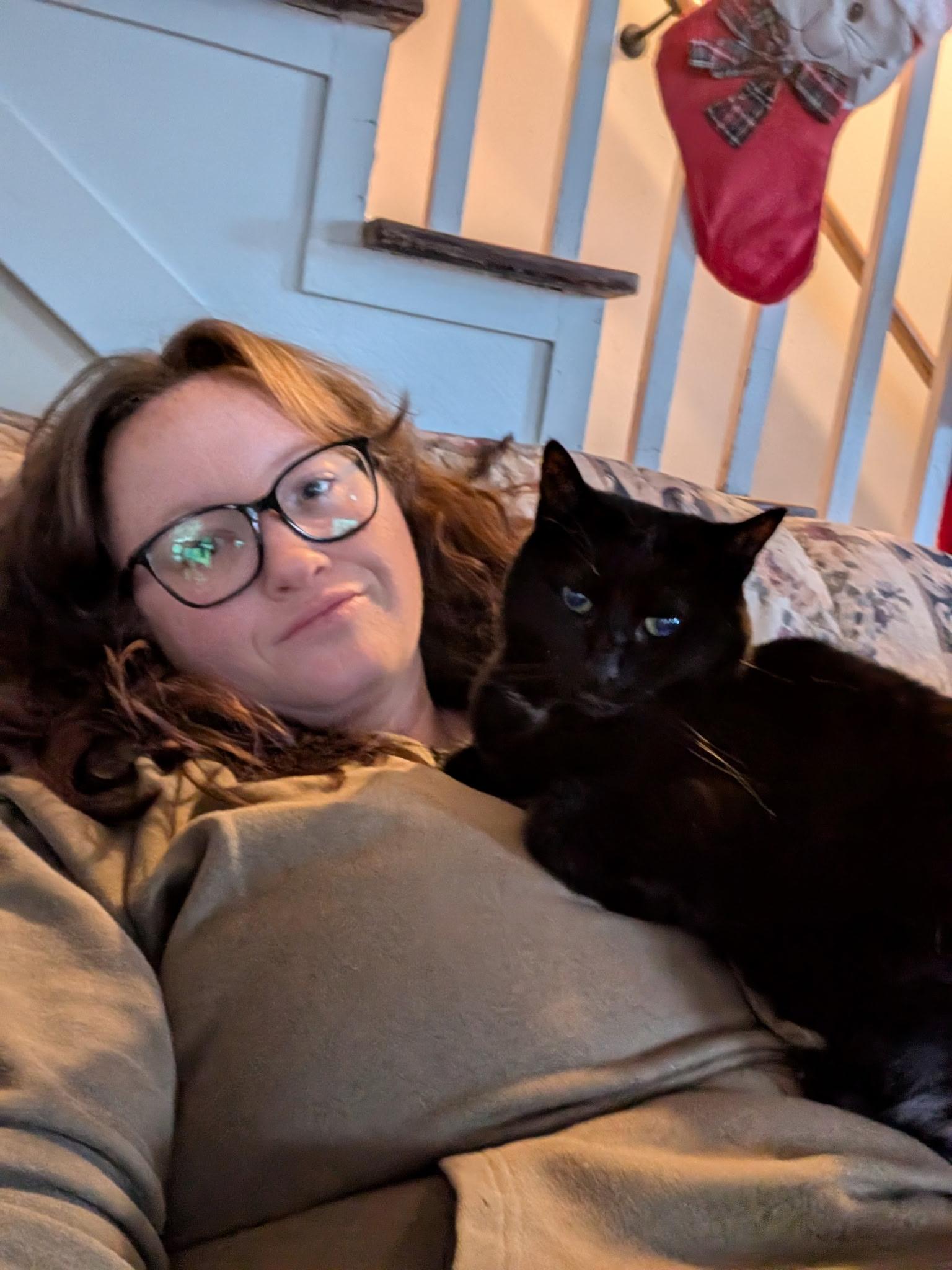 Enlarge Holly, a Adoptable Domestic Short Hair in Queenstown, MD image 2/5