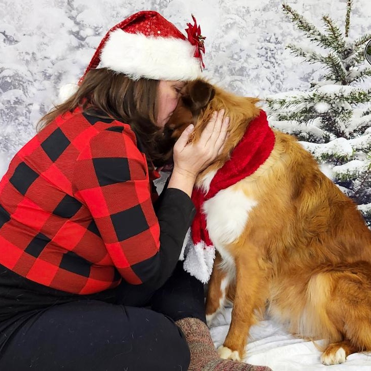 Enlarge Benji, an adopted mixed breed in Grayling, MI image 2/6