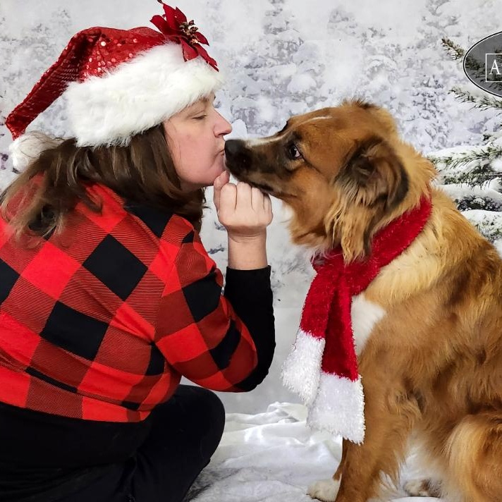 Enlarge Benji, an adopted mixed breed in Grayling, MI image 4/6