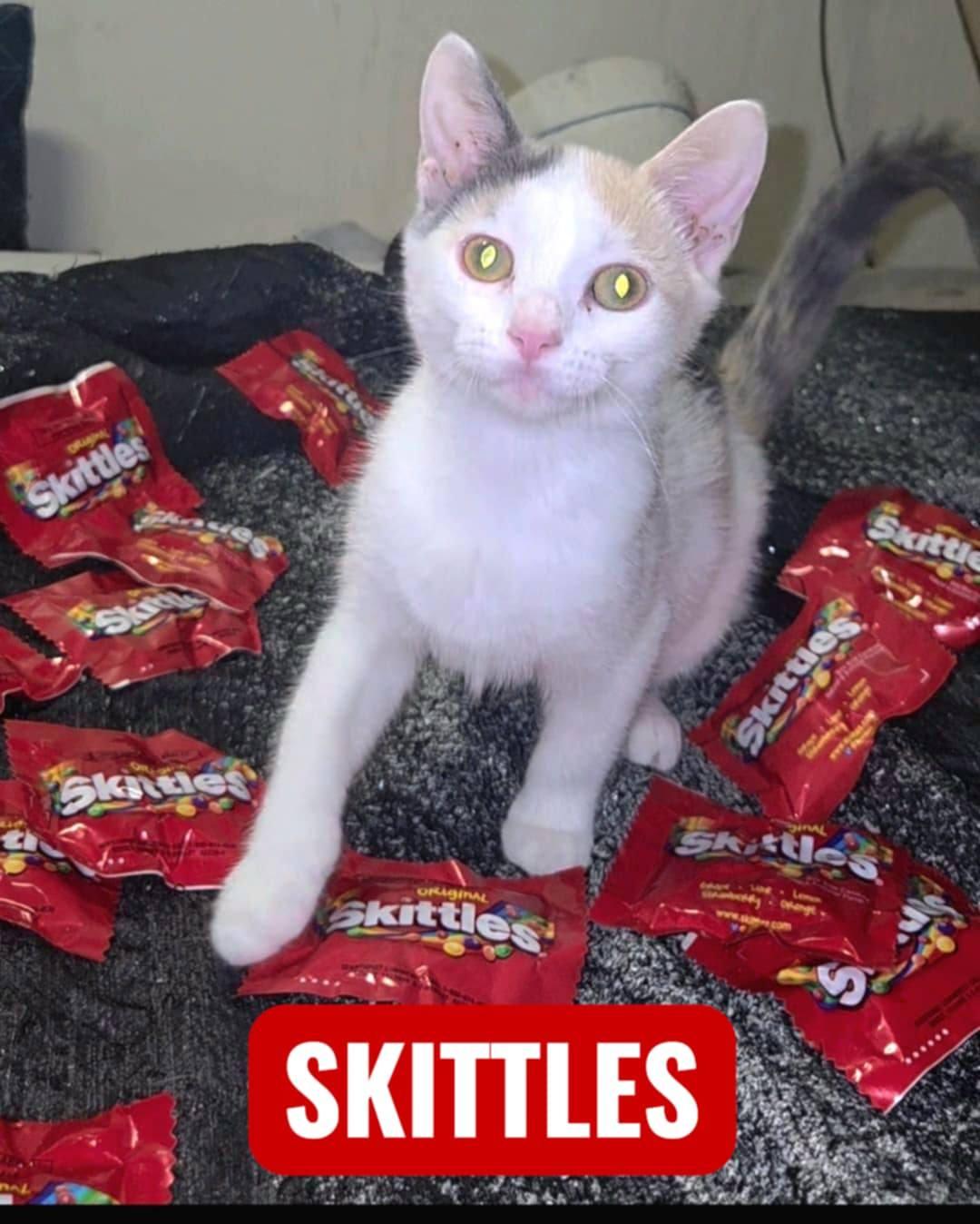 Skittles