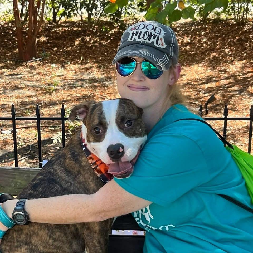 Davy, a Adoptable mixed breed in Hartsville, SC image 2/6