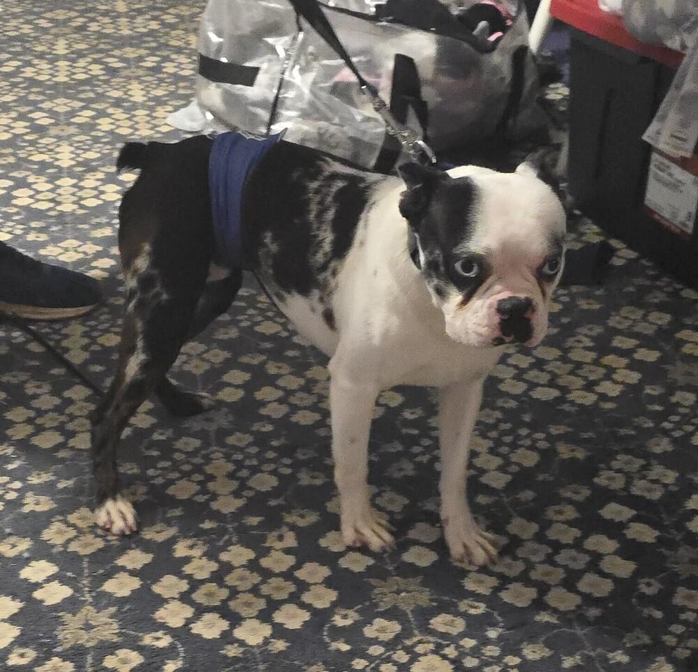 Champ Evans New Tazewell thumbnail 2