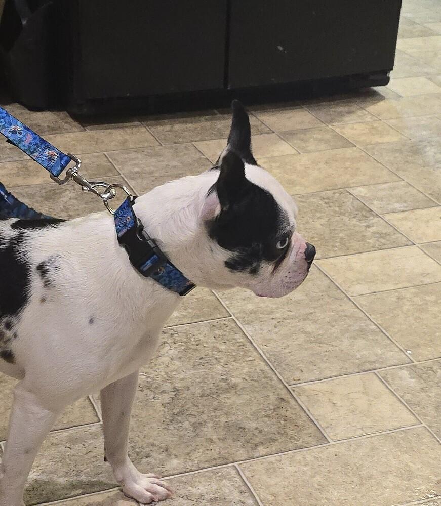 Champ Evans New Tazewell thumbnail 3