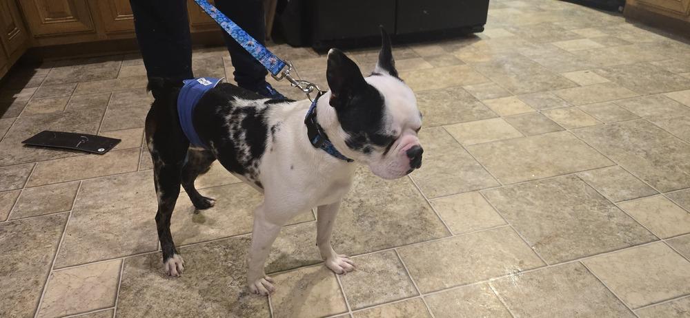 Champ Evans New Tazewell thumbnail 4