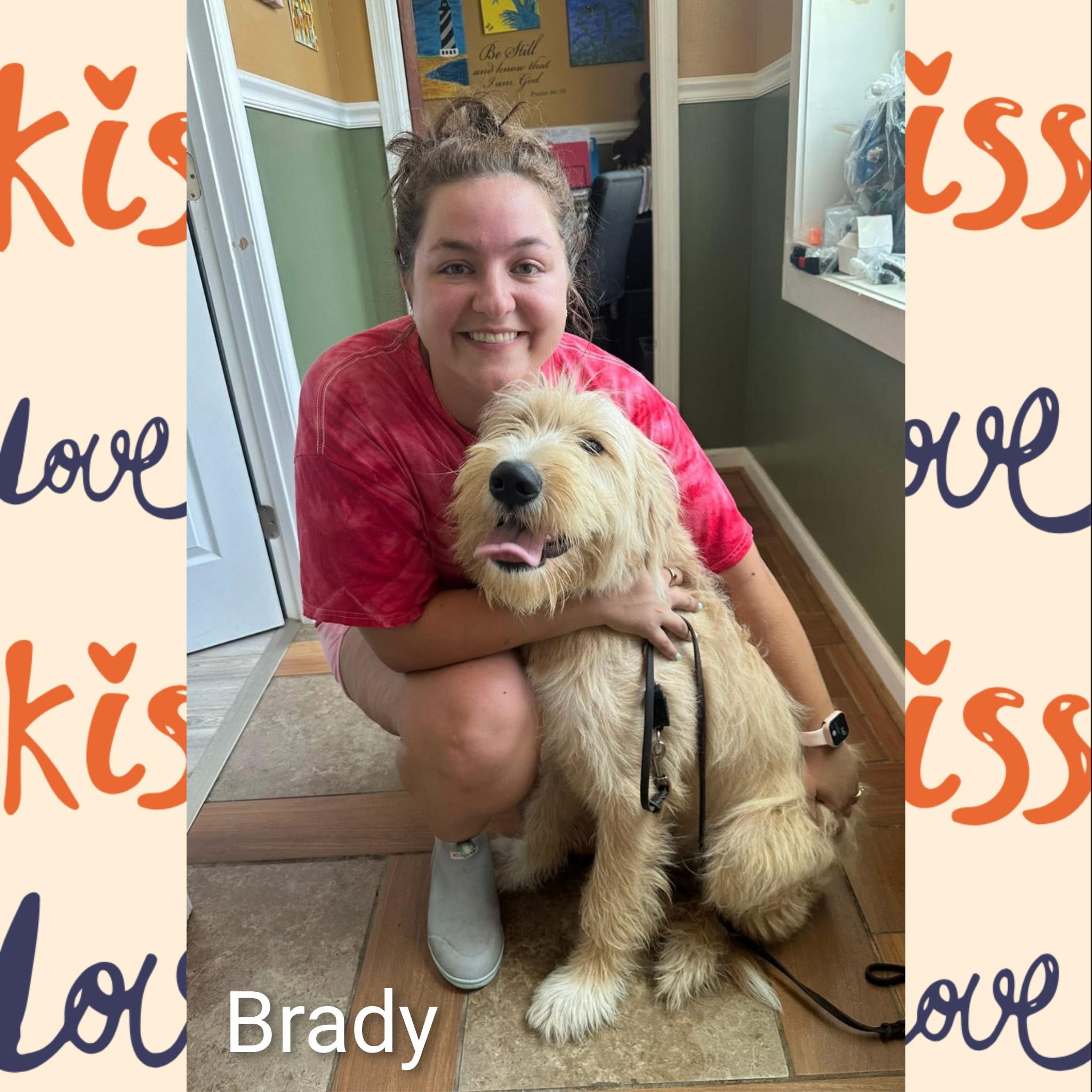 Enlarge Brady, an adoptable mixed breed in Fredericksburg, VA image 4/6