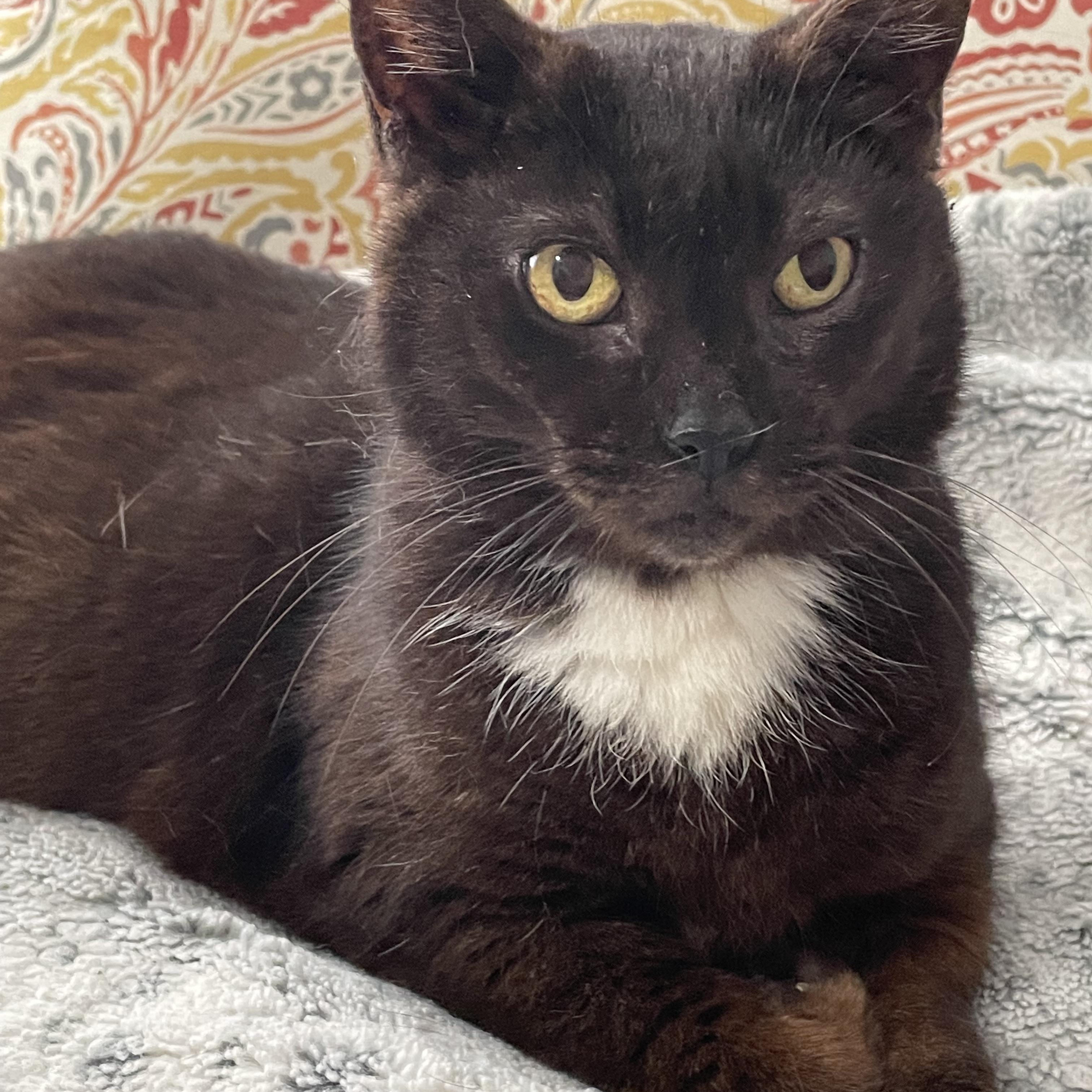 Sophie — thumbnail 2