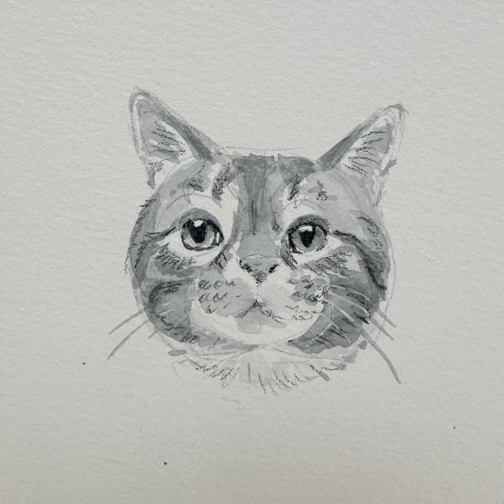 Chewpi, a Adoptable Domestic Short Hair in Playa Vista, CA image 5/6