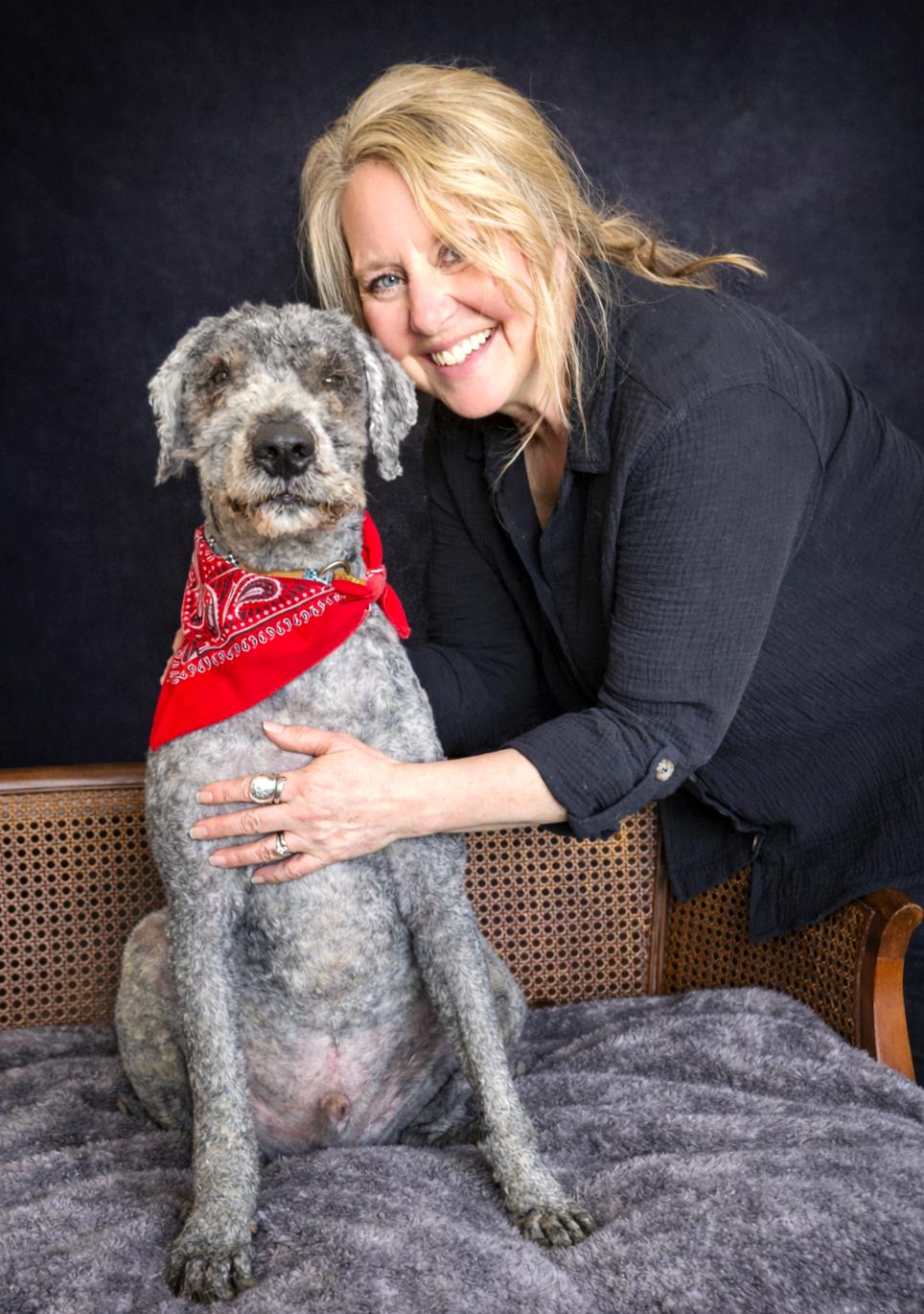 Beau, a ADOPTABLE Goldendoodle in Cheboygan, MI image 2/3