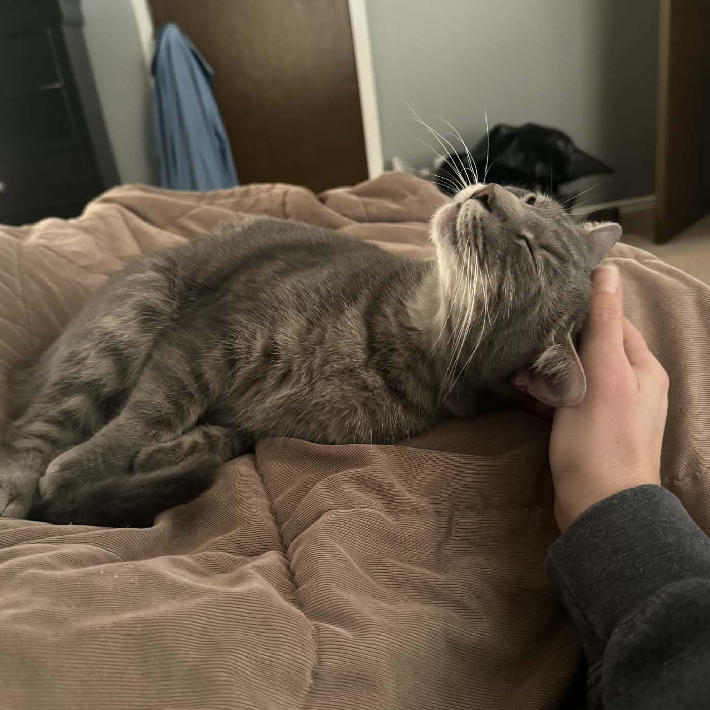 Turner — thumbnail 3