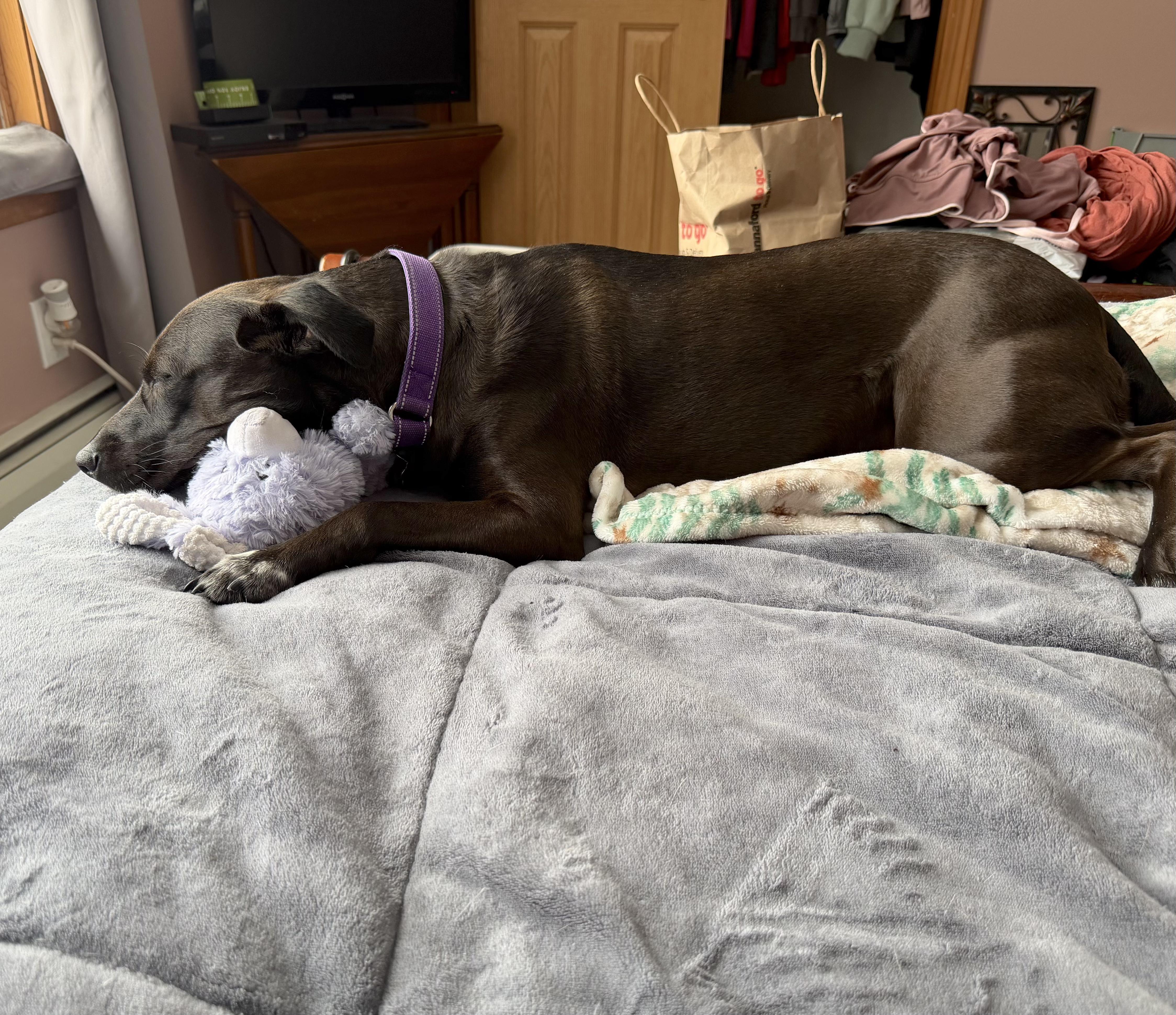 Little Star — thumbnail 2