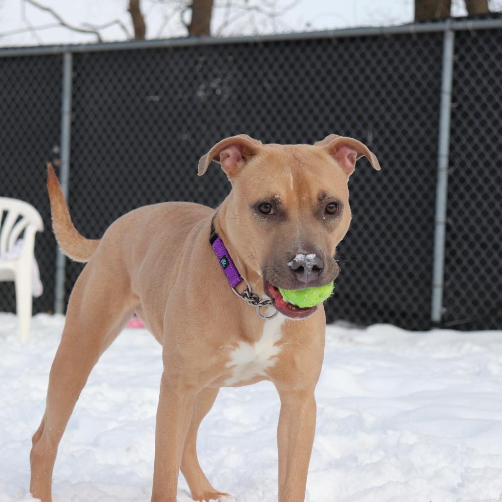 Karma — thumbnail 4