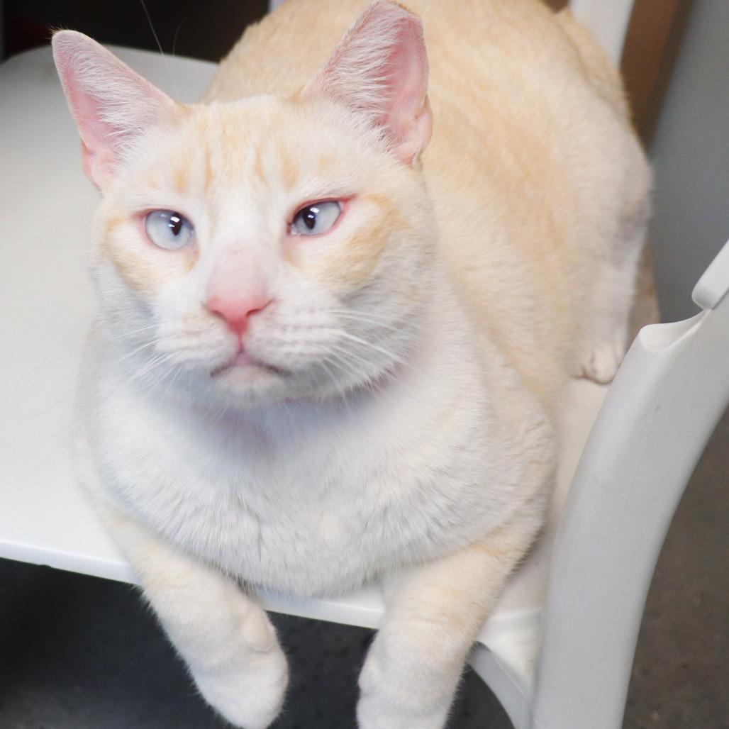 Mali — thumbnail 2