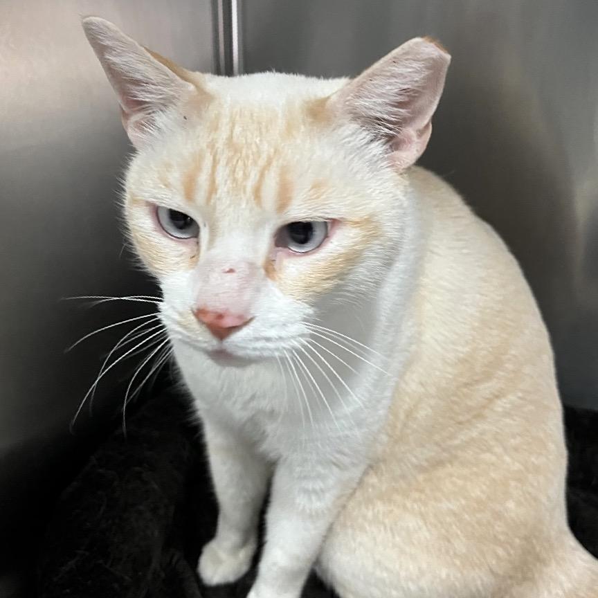 Mali — thumbnail 3