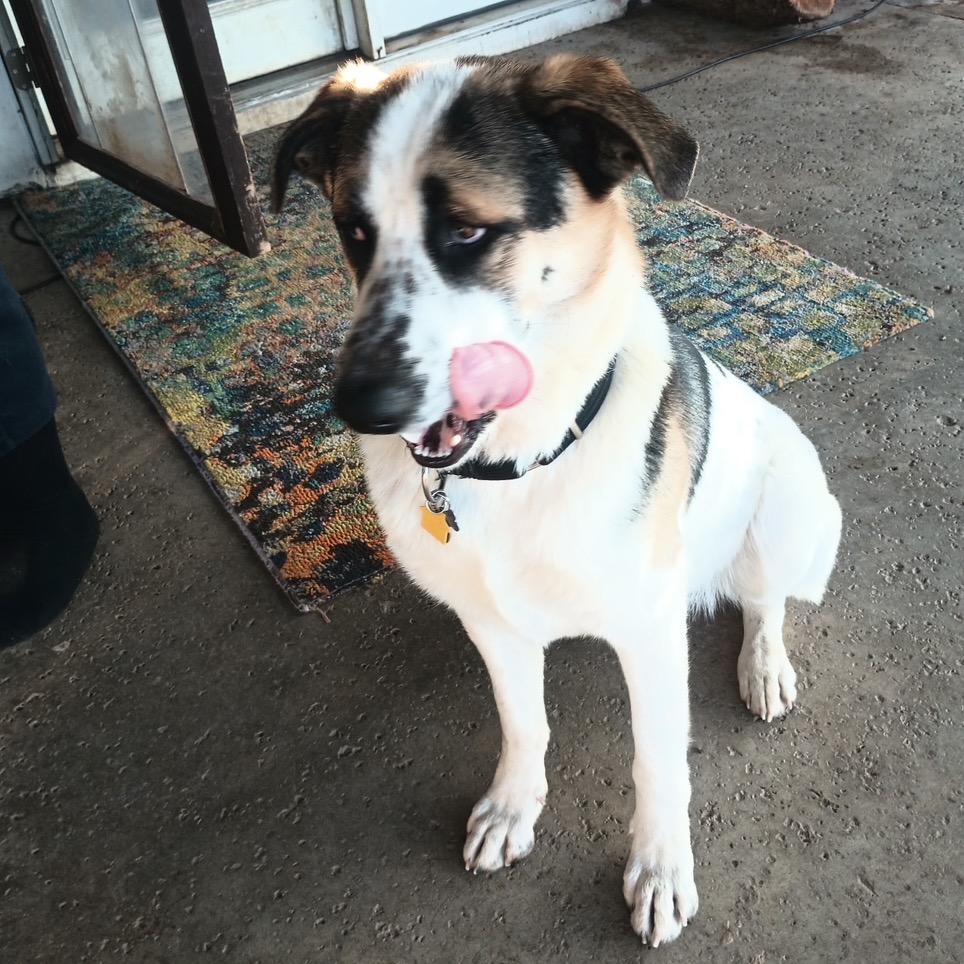 Franklin thumbnail 4