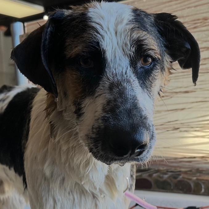 Franklin thumbnail 5