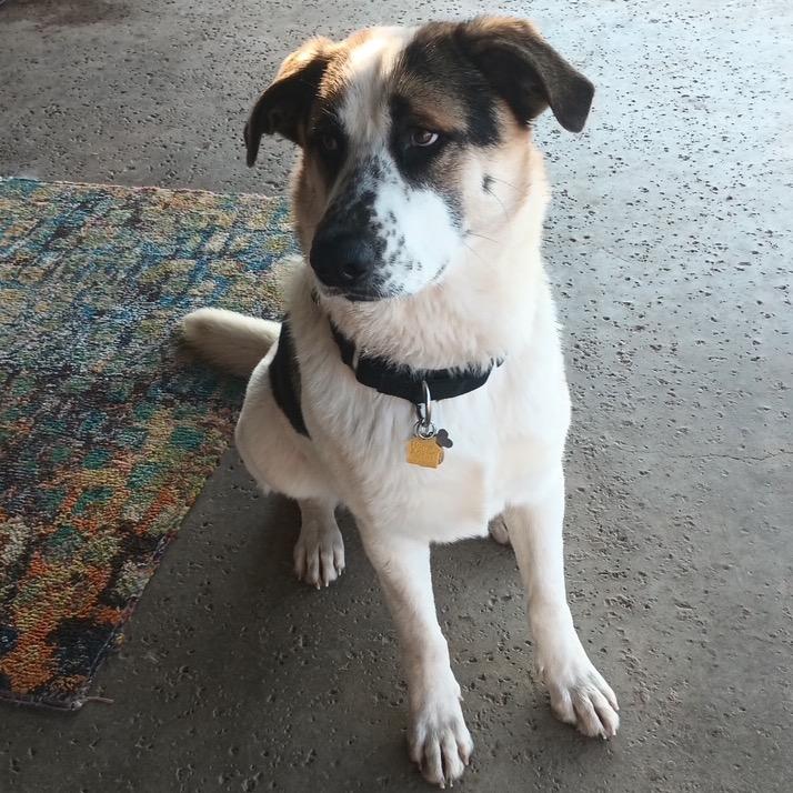 Franklin thumbnail 6