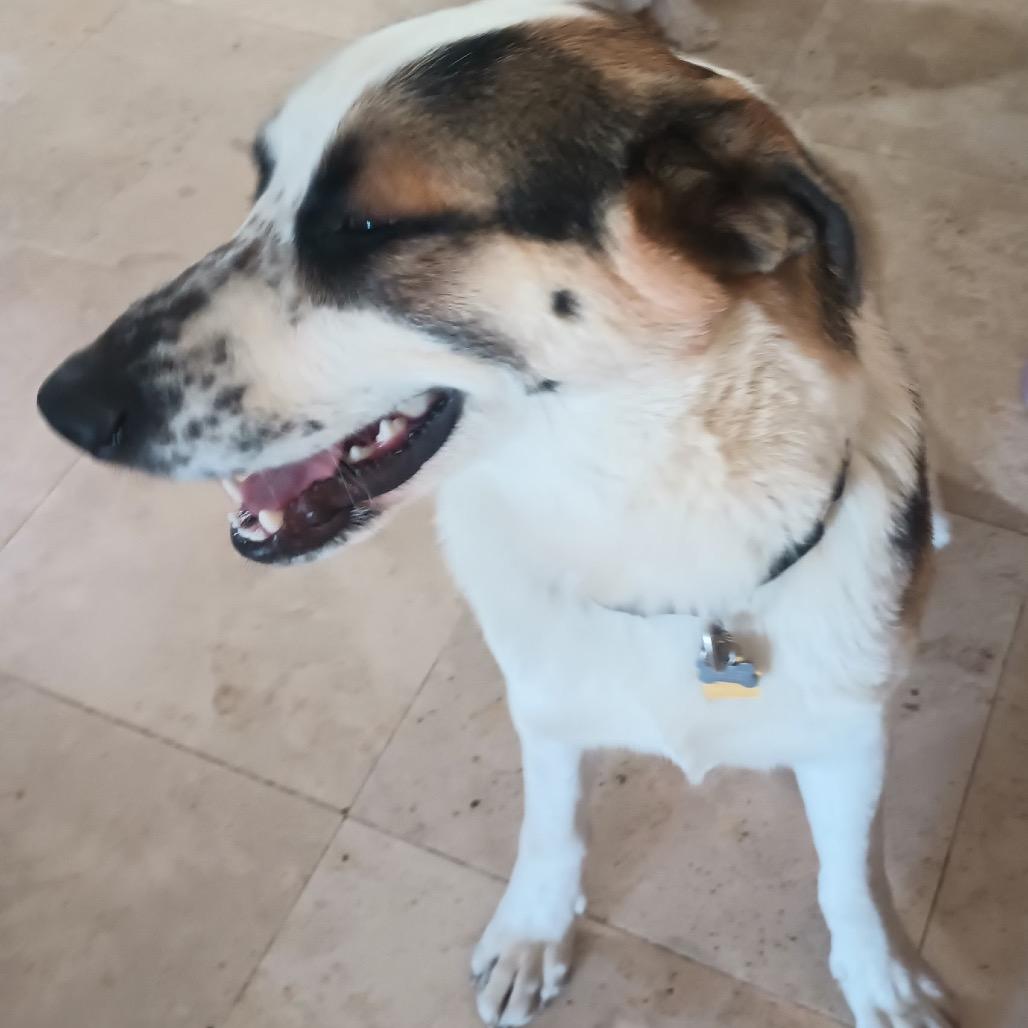 Franklin thumbnail 7