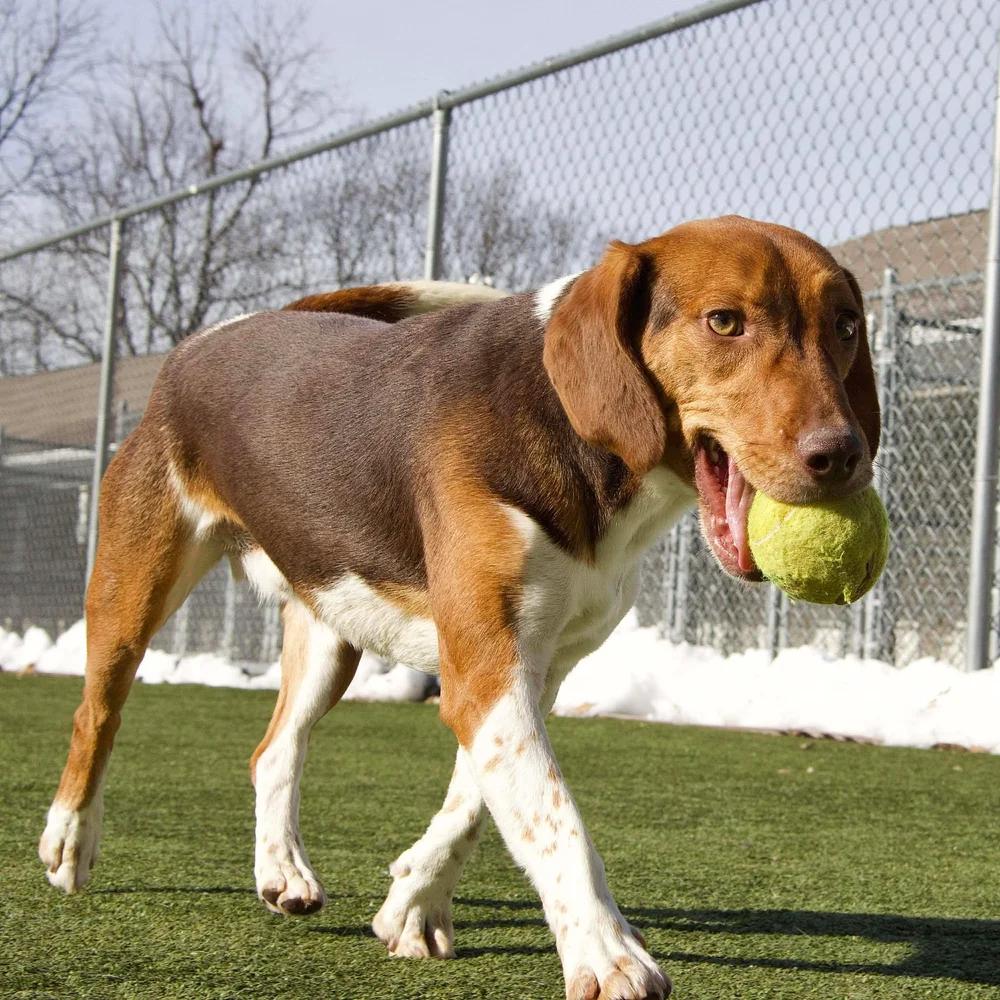 Duffy — thumbnail 3