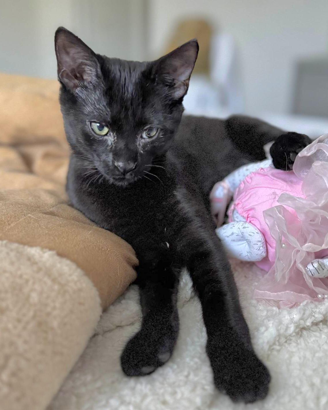 Octavia