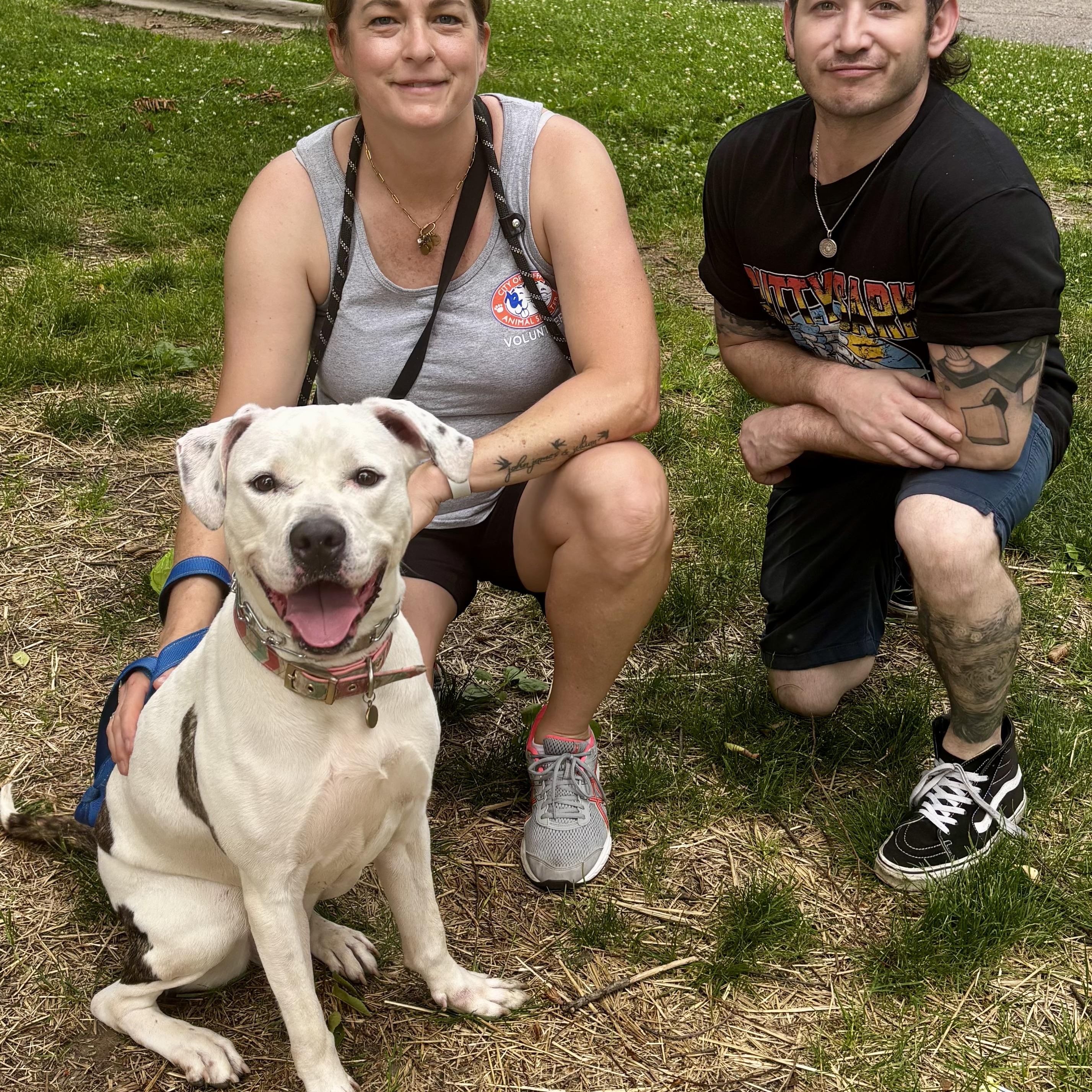 Enlarge Queen, an adoptable mixed breed in Buffalo, NY image 6/6