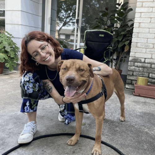 Enlarge Leroy, a Adoptable mixed breed in Austin, TX image 2/5