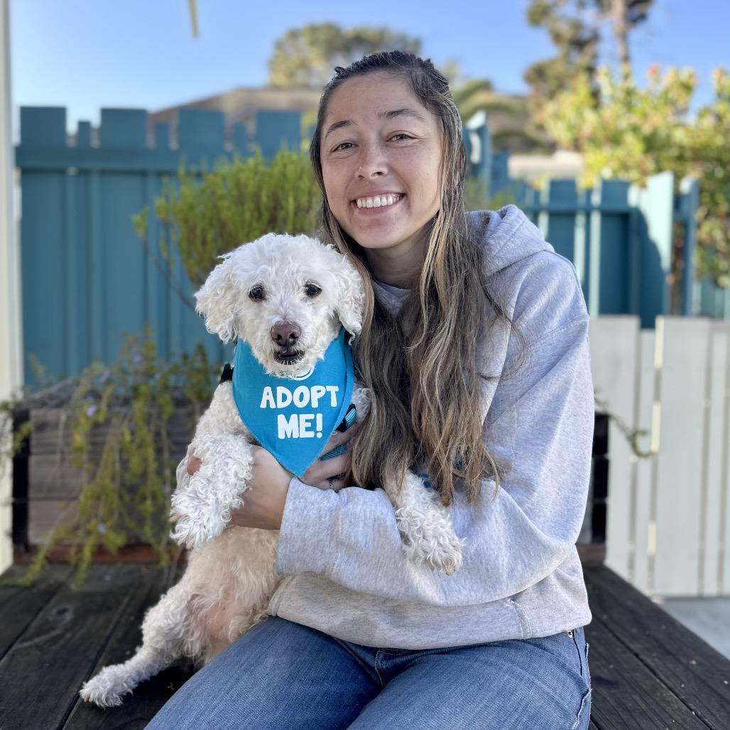 Chris-anthumum — thumbnail 3