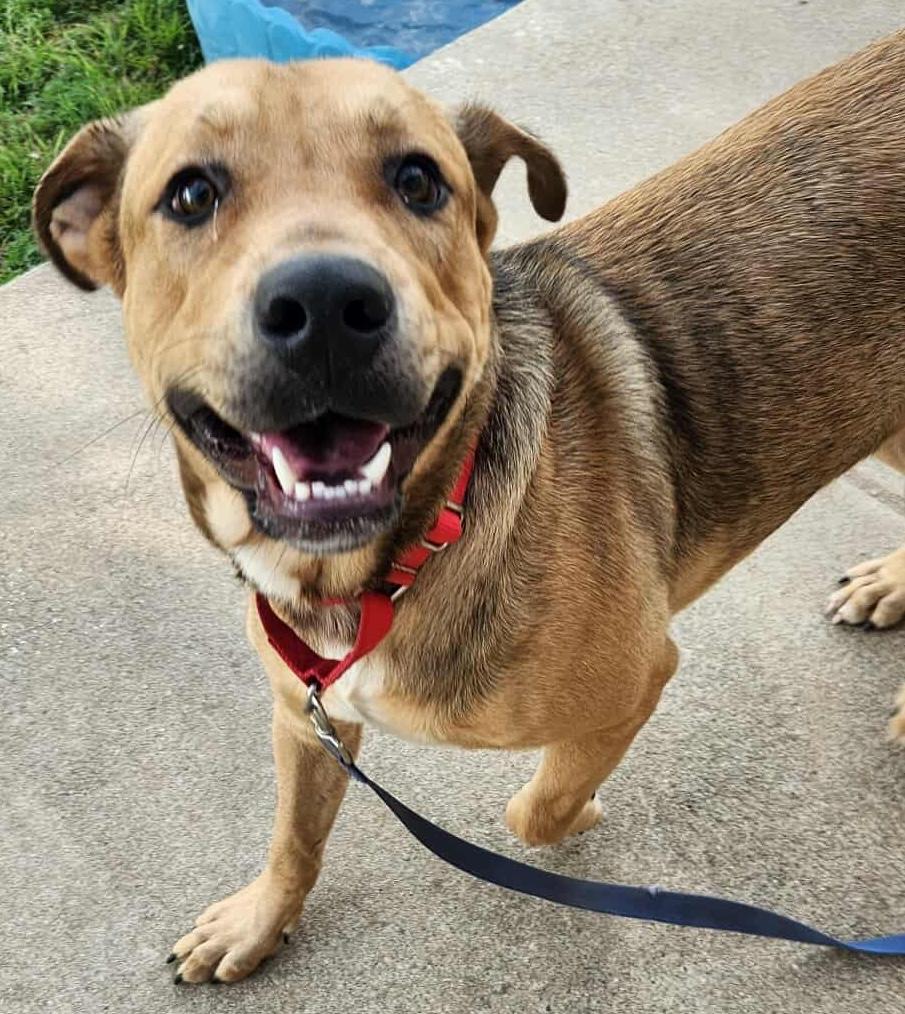 Tonka - Reduced Fee!