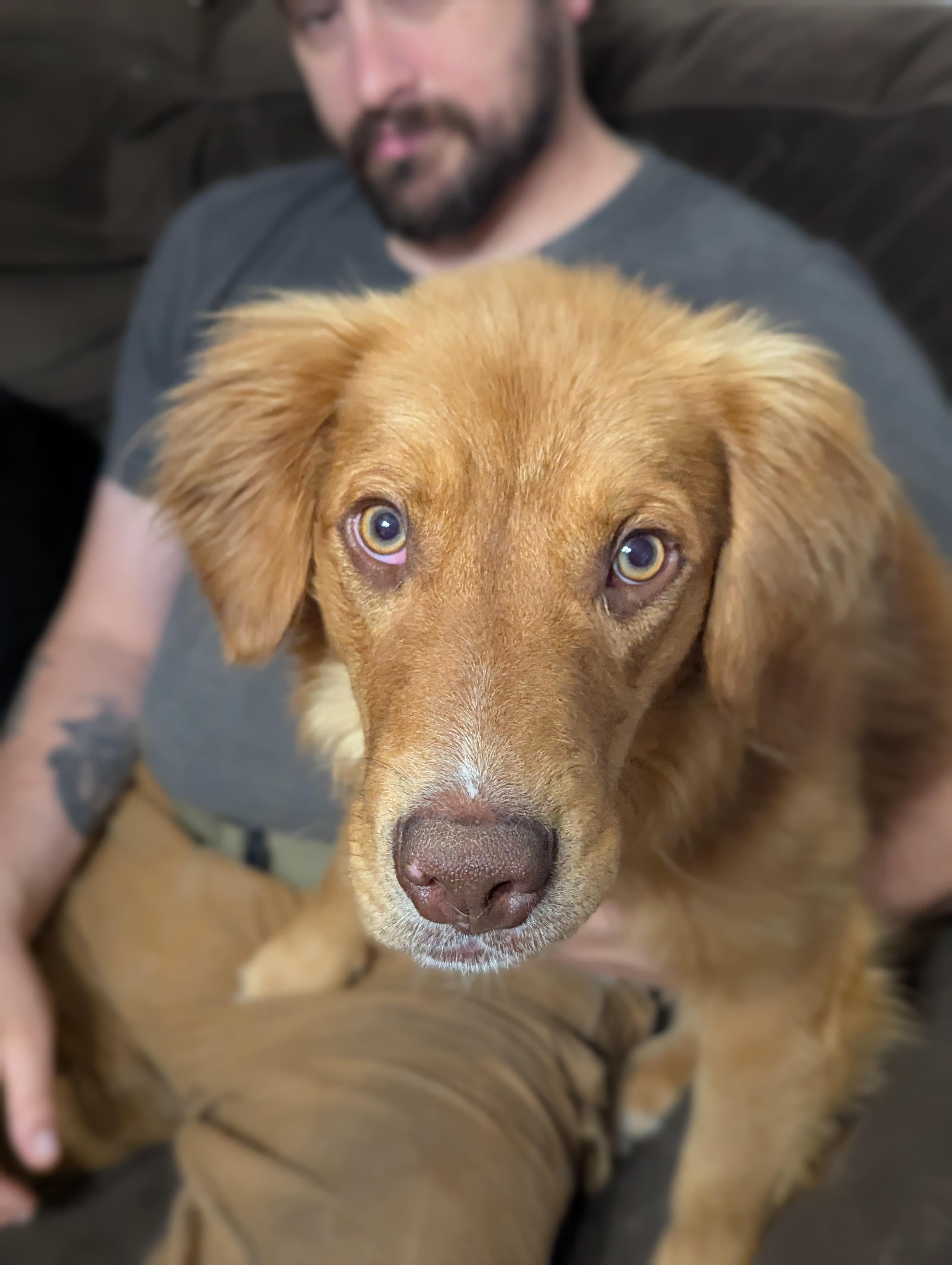 Sully photo 3